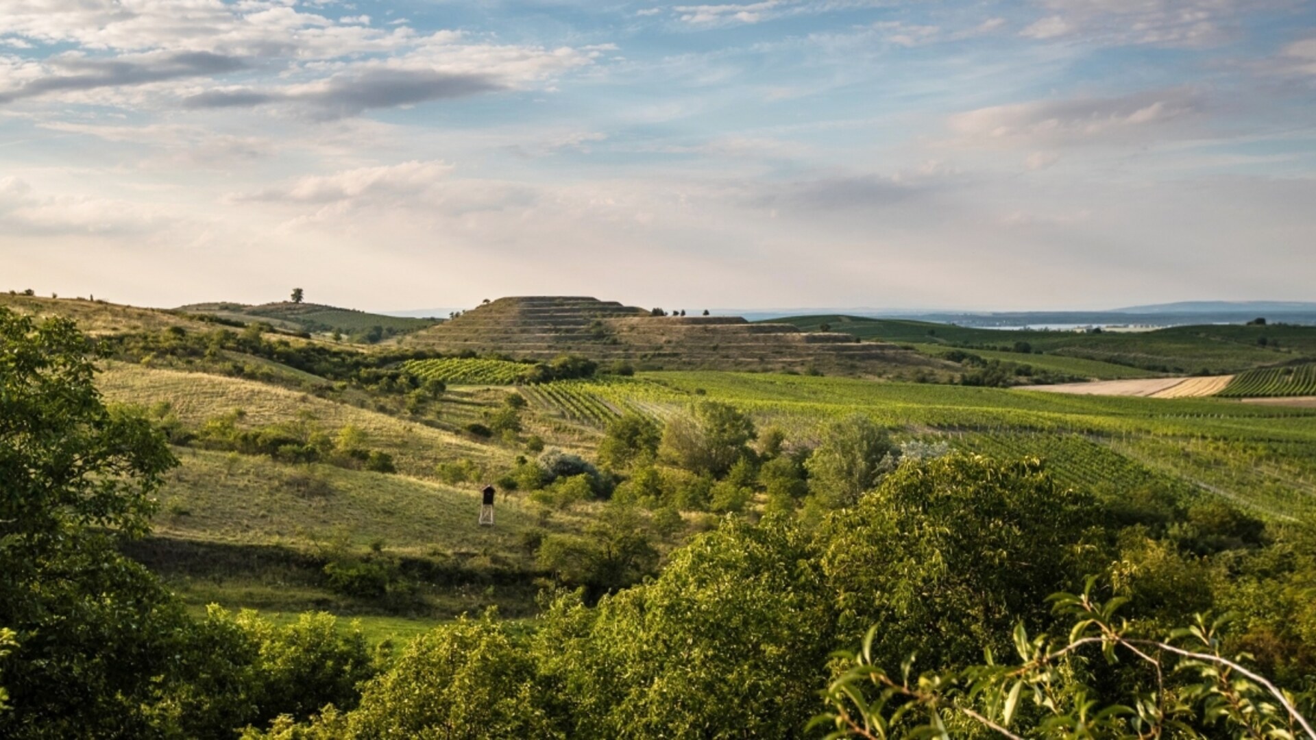 Krajina Mikulovska s vinicemi