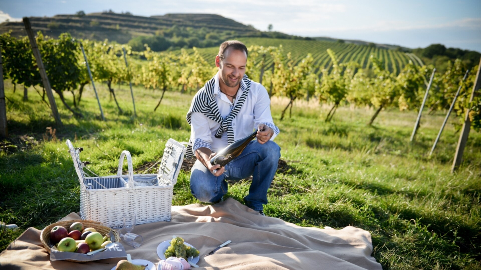 Vinice nad Dolními Dunajovicemi